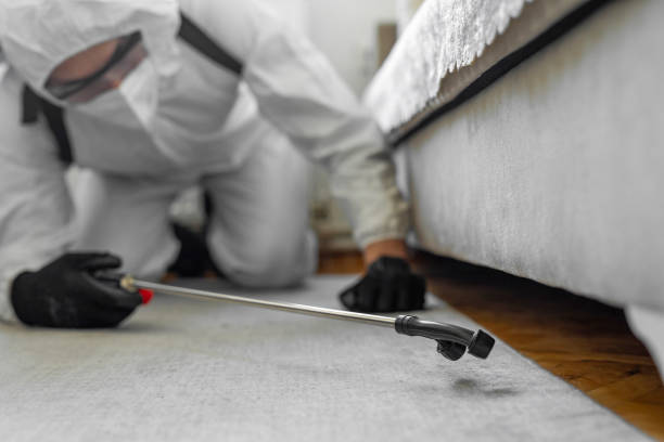 Professional Bed Bug Control technician working in Greenwood, MO