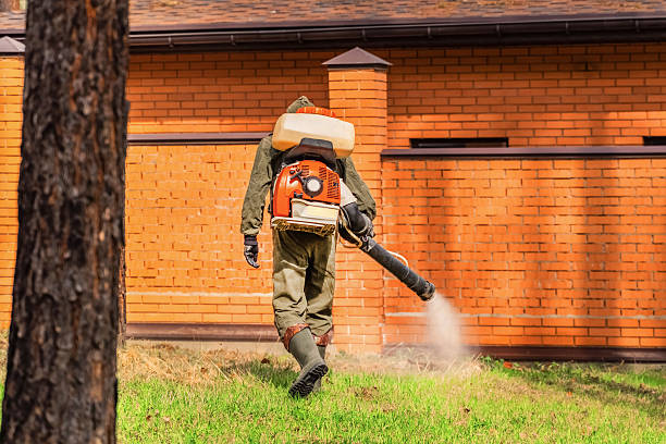 Trusted Mosquito Control service in Greenwood, MO - Nex Pest Control